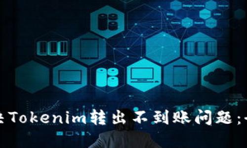 如何解决Tokenim转出不到账问题：全面指南
