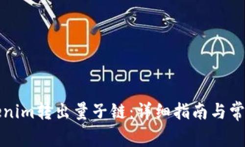 如何将Tokenim转出量子链：详细指南与常见问题解答