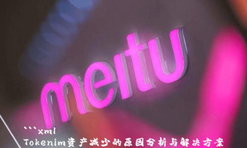 
```xml
Tokenim资产减少的原因分析与解决方案