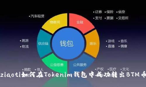 ziaoti如何在Tokenim钱包中成功转出BTM币