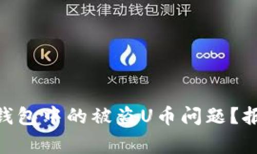 如何处理Tokenim钱包中的被盗U币问题？报警与补救措施详解