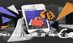 如何参与Tokenim项目的公测：详尽指南