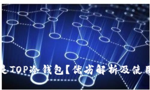 什么是TOP冷钱包？优劣解析及使用指南