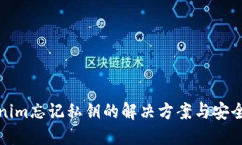 Tokenim忘记私钥的解决方案与安全指南