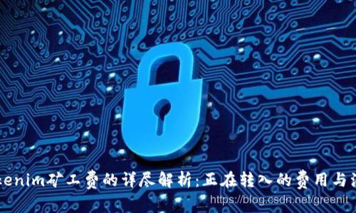 关于Tokenim矿工费的详尽解析：正在转入的费用与注意事项