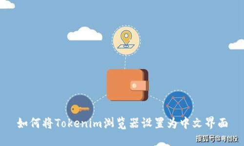 如何将Tokenim浏览器设置为中文界面