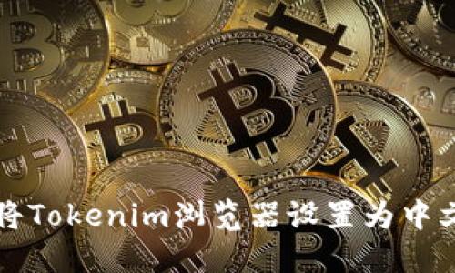 如何将Tokenim浏览器设置为中文界面