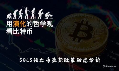 SOLS铭文币最新政策动态分析