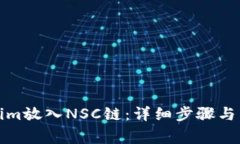 如何将Tokenim放入NSC链：详