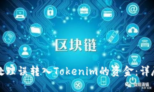 如何处理误转入Tokenim的资金：详尽指南